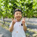 [누리] 블루베리 수확 🫐 이미지