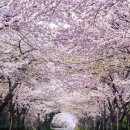 상예동-11 이미지