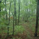 태봉리 마을회관 이미지