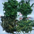 단양유기농원 이미지