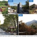 아라몰 이미지