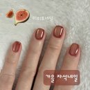 미히또네일