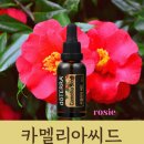 씨드(SEED) 헤어 이미지