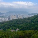 상학초교 이미지