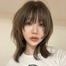 윈드헤어 이미지