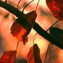 좋고좋다 이미지