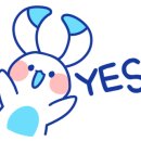 와이케이기획 이미지