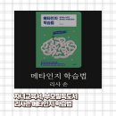 스스로 메타인지 책놀이 | 부모 필독도서, 자녀교육서 &#39;메타인지 학습법&#39; 리사손