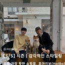 호아이보