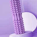 요가테스 B 이미지