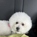 레인바우 이미지