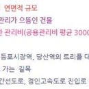 SK부동산중개인사무소 이미지