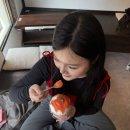 노렌 | 속초중앙시장 카페 노렌 재방문 후기, 여전히 맛있는 토마토빙수