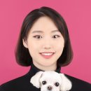 일월사진관 이미지
