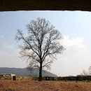 호국돈대길 이미지