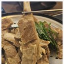 양이야기 이미지