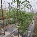 성희농장 이미지