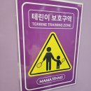 개포동실내테니스 배우기 딱좋은 곳, 마마테니스 개포점