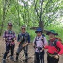 (5/28) 남양주 팔당 율리봉~운길산역 산행 이미지