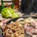 청정오리떼 이미지