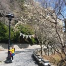 영도구-2 | 태종대 유람선 시간 요금 시간표 부산 영도 가볼만한곳