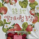 송촌농장 | 남양주 북한강이 보이는 송촌호반딸기농장 딸기체험