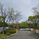 자연속에서-산 | 대구 동구 산책 명소 불로동 고분공원 가족 나들이 후기