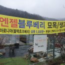 화원 농장 이미지