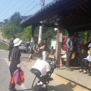 축령산아침 이미지