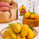 아이스방구 이미지