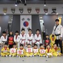 용인대국가대표사랑태권도 이미지