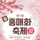 2025 섬 홍매화축제 이미지