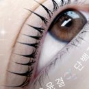 다이소부천원미