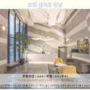 애니카랜드 양재남부점 | 서울 호텔 추천: 페이토 강남 숙박 후기! 가성비 여행 끝판왕