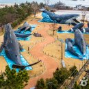 개운포성지 이미지