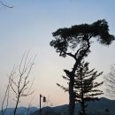 소화 건강에 좋은 복주머니 젤리 속 건강의 비결, 요리 원데이 후기