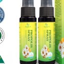 내츄럴파머 이미지