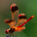 효마당복지센터 이미지