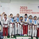 다올 태권도장 이미지