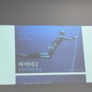중원-43 | 보홀 여행 준비하며 시작한 프리다이빙｜AIDA 레벨1 취득 후기 (파라다이브 딥풀)