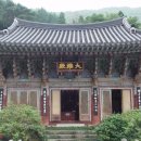 일향(一香) 이미지