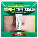 올그린 이미지