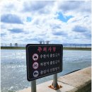 포항 영일대 해상 스카이워크 후기 바다 위를 걷는 특별한 포항 가볼만한곳