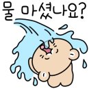 오늘카츠