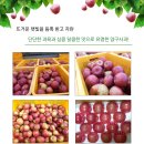 부자사과농원