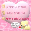 ~ 12月 : 나는 이미 내일도 피곤해 ~