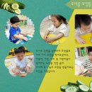 푸드오감 이미지