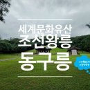 매일교통(주)부일교통자가정비 | 서울 근교 가볼만한곳 구리 동구릉 가을 단풍명소 데이트