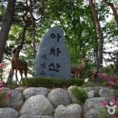 동물식물 생태체험교실 이미지