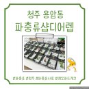 파충류샵디어렙청주